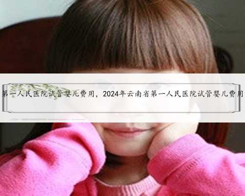 云南省第一人民医院试管婴儿费用，2024年云南省第一人民医院试管婴儿费用多